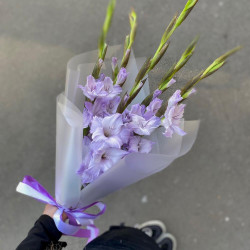 Букет из 5 сиреневых гладиолусов